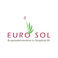 euro-sol_logo_g